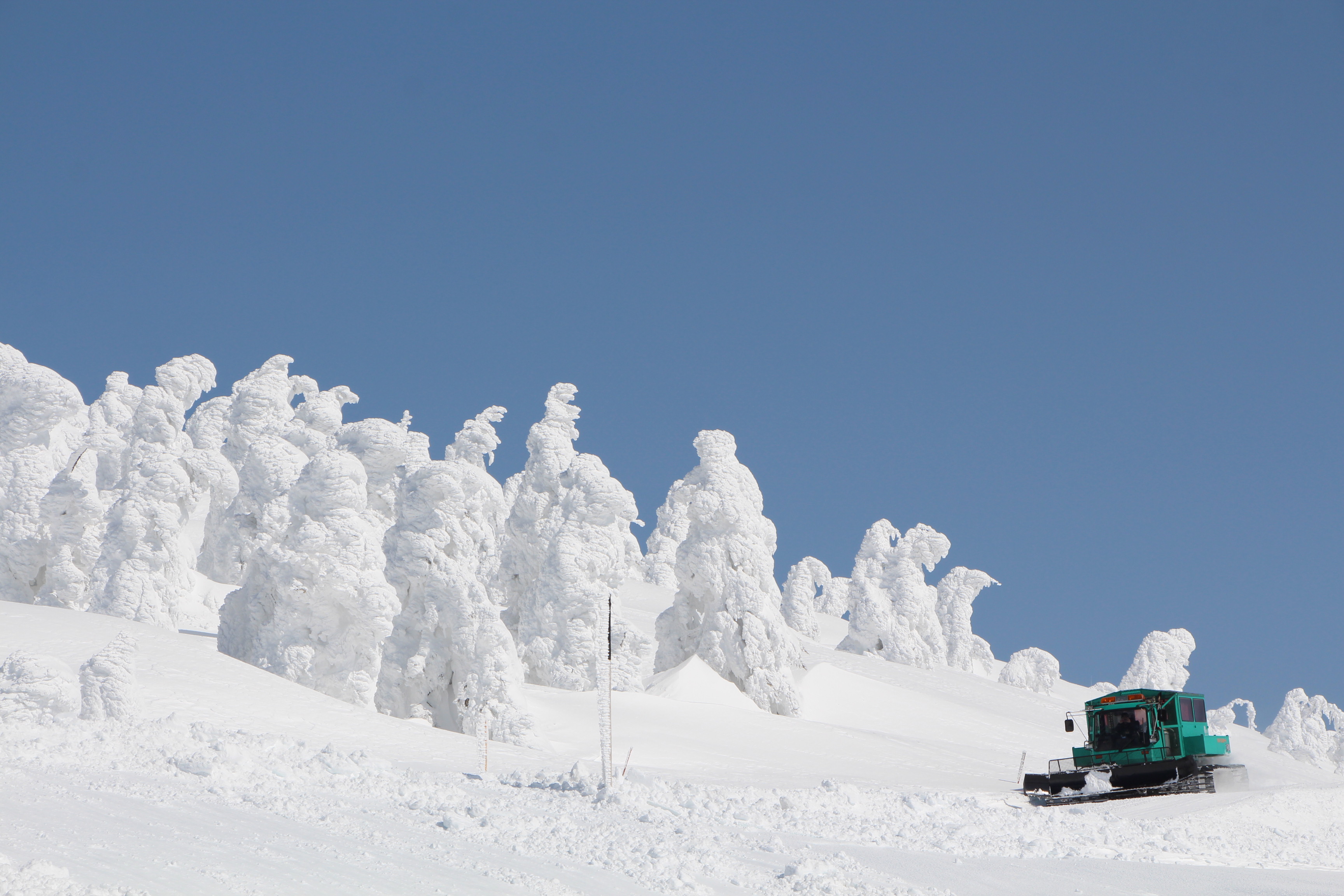 女性　大便　雪上 雪上車で行く「みやぎ蔵王樹氷めぐり」のご案内 | 温泉山荘だいこんの花【公式サイト】