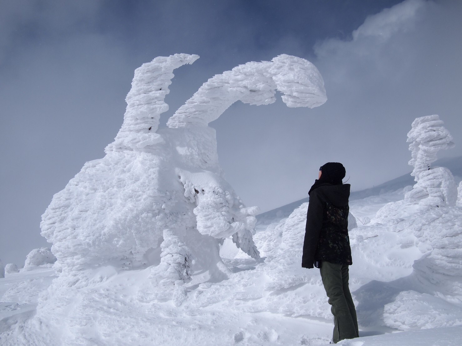 雪上車で行く「みやぎ蔵王樹氷めぐり」のご案内 | 温泉山荘だいこんの 